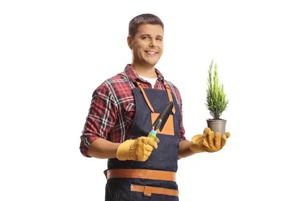 The Gardener&rsquo;s Guide to Choosing the Right Fertilizer Sprayer